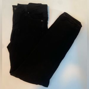 Celebrity Pink Short Mid Rise Skinny Jeggings